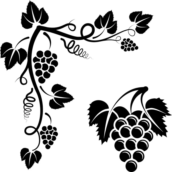 Пучок винограда — стоковый вектор