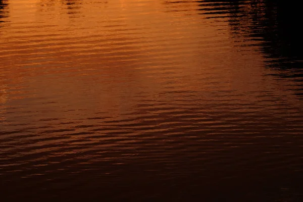 Beautiful Sunset Pond Water — Stock Photo, Image