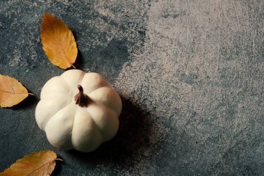 Sonbahar fotokopi alanı için doku arkaplanındaki kabağın üst görünümü. 