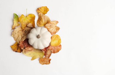 Sonbahar fotokopi alanı için doku arkaplanındaki kabağın üst görünümü. 