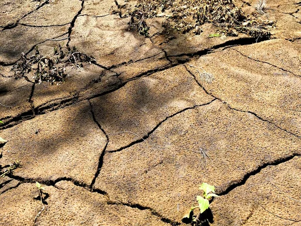 Drought-affected earth in Australia