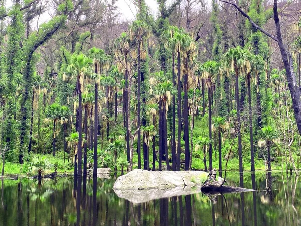 Eine Natürliche Oase Mitten Trockenen Australischen Buschland — Stockfoto