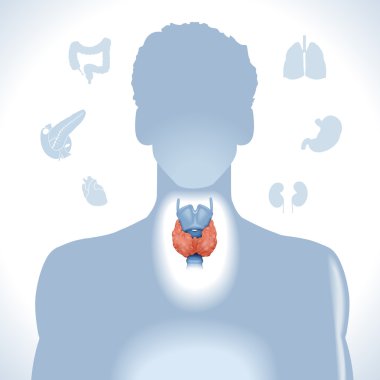 Thyroid. Modern medical infographics.  clipart