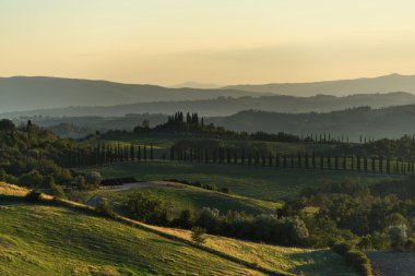 Tuscan görünümü