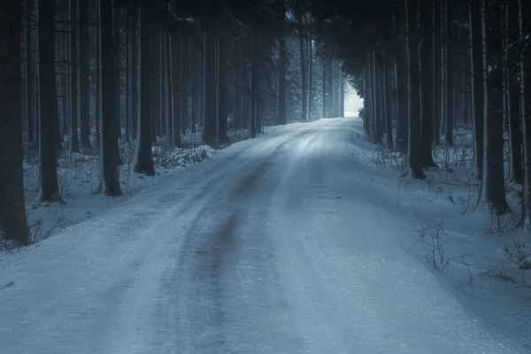 A forest road in winter. light at the end of the road.