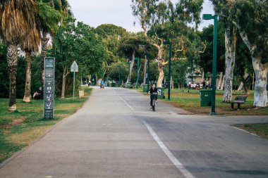 Tel Aviv İsrail 1 Kasım 2020 Tel Aviv 'deki bir halk bahçesinde nüfusu kontrol altına almak için Coronavirus salgını sırasında kimliği belirsiz insanların toplandığı görüntüler.