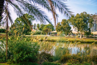 Tel Aviv İsrail 1 Kasım 2020 Kilitlenme ve Coronavirus salgını sırasında Tel Aviv 'de açık bir halk bahçesinin görüntüsü İsrail nüfusunu kontrol altına almak için