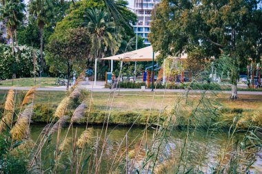 Tel Aviv İsrail 1 Kasım 2020 Kilitlenme ve Coronavirus salgını sırasında Tel Aviv 'de açık bir halk bahçesinin görüntüsü İsrail nüfusunu kontrol altına almak için