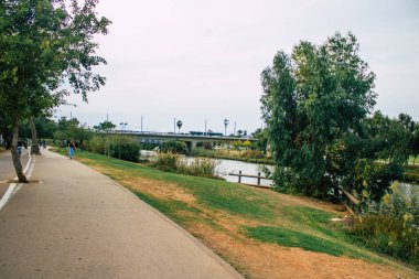 Tel Aviv İsrail 1 Kasım 2020 Kilitlenme ve Coronavirus salgını sırasında Tel Aviv 'de açık bir halk bahçesinin görüntüsü İsrail nüfusunu kontrol altına almak için