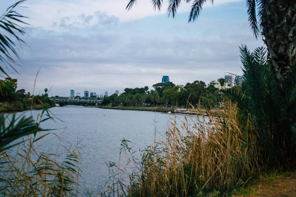 Tel Aviv Israel November 2020 View Open Public Garden Tel — Stock Photo, Image