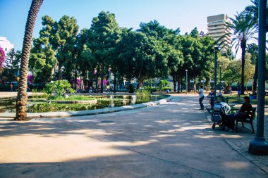 Tel Aviv İsrail 15 Kasım 2020 İsrail, İsrail 'i vuran Coronavirus salgını sırasında Tel Aviv' in halk bahçesinde eğlenen kimliği belirsiz İsrail halkının görüntüsü