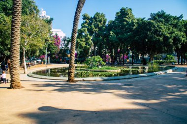 Tel Aviv İsrail 15 Kasım 2020 İsrail, İsrail 'i vuran Coronavirus salgını sırasında Tel Aviv' in halk bahçesinde eğlenen kimliği belirsiz İsrail halkının görüntüsü