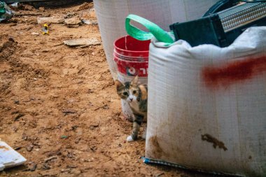 Tel Aviv İsrail 17 Kasım 2020 Kilit ve Coronavirus salgını sırasında İsrail 'i vuran Tel Aviv caddesindeki yol şantiyesinin görüntüsü