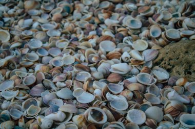 İsrail 23 Kasım 2020 İsrail 'in kuzeyinden bulutlu bir gökyüzü ile deniz manzarası