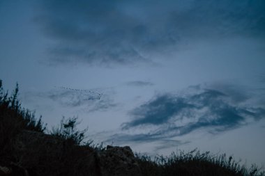 İsrail 23 Kasım 2020 İsrail 'in kuzeyinden bulutlu bir gökyüzü ile deniz manzarası