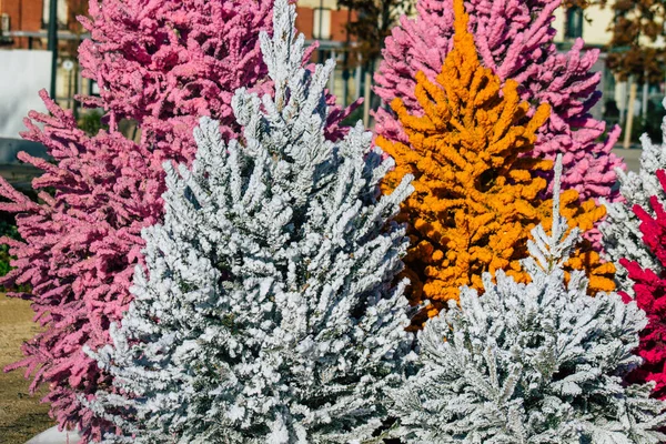 Reims Şehri Koronavirüs Salgını Sırasında Reims Sokaklarındaki Renkli Noel Süslemelerini — Stok fotoğraf