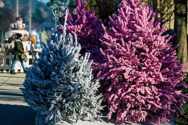 Reims Şehri Koronavirüs Salgını Sırasında Reims Sokaklarındaki Renkli Noel Süslemelerini — Stok fotoğraf