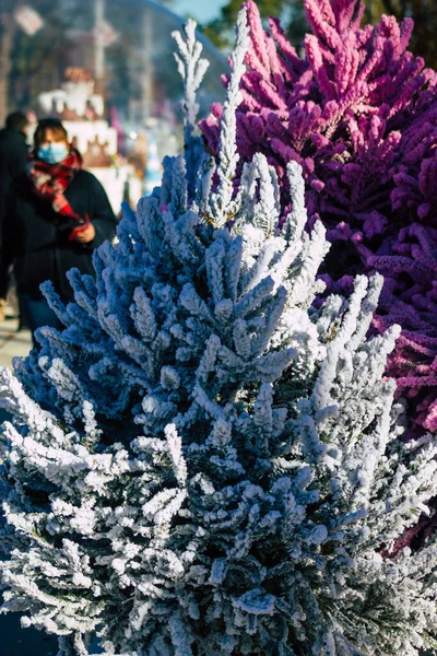 Reims Şehri Koronavirüs Salgını Sırasında Reims Sokaklarındaki Renkli Noel Süslemelerini — Stok fotoğraf