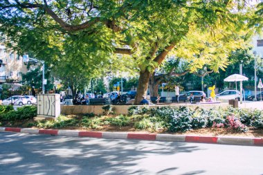 Tel Aviv İsrail 5 Aralık 2020 Tel Aviv şehir merkezinden geçen yeşil gezinti alanı tecrit ve Coronavirus salgını İsrail 'i vurdu.