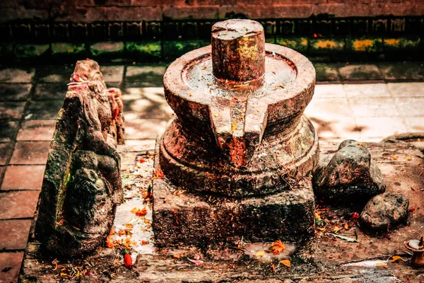 Templo Pashupatinath Creado Siglo Famoso Sagrado Complejo Templos Hindúes Que —  Fotos de Stock