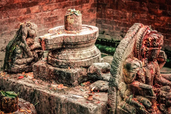 Templo Pashupatinath Criado Século Famoso Sagrado Templo Hindu Complexo Que — Fotografia de Stock