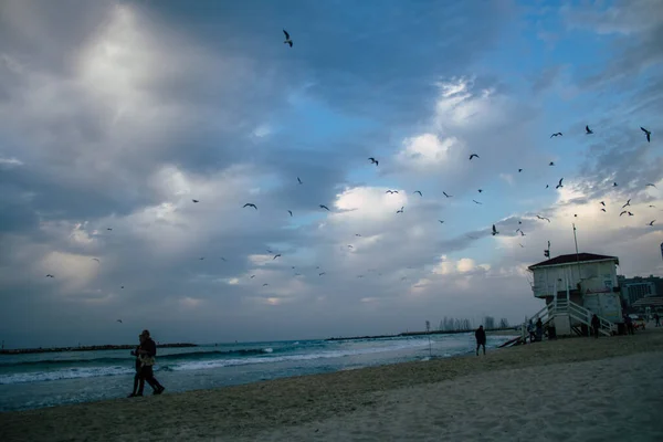 Tel Aviv Israël Décembre 2020 Vue Des Israéliens Non Identifiés — Photo