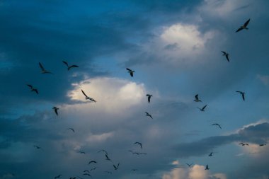 Tel Aviv İsrail 12 Aralık 2020 Coronavirus salgını sırasında İsrail 'i vuran Tel Aviv plajı manzarası