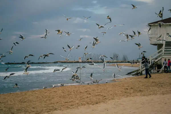 Tel Aviv Israel Diciembre 2020 Vista Playa Tel Aviv Durante — Foto de Stock