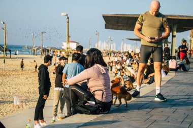 Tel Aviv İsrail 2 Ocak 2021 İsrail 'de Herbert Samuel Promenade Tel Aviv' de yürürken Coronavirus salgını İsrail 'i vurdu.