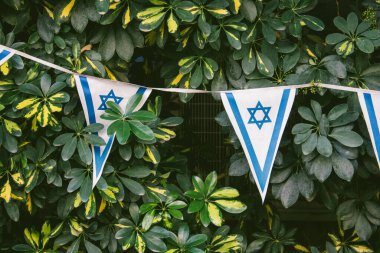 Tel Aviv İsrail 30 Ocak 2021 İsrail bayrağı İsrail 'de Coronavirus salgını ve tecrit sırasında Tel Aviv sokaklarında görülüyor.