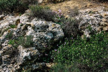 Panorama ve Kudüs tepeleri ve Beyaz Vadi 'nin manzarası vadiye bakan beyaz dağ sırtı batıdaki kentsel gelişmeden kurtarıldı.