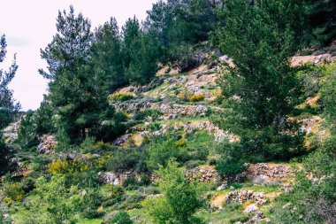 Panorama ve Kudüs tepeleri ve Beyaz Vadi 'nin manzarası vadiye bakan beyaz dağ sırtı batıdaki kentsel gelişmeden kurtarıldı.