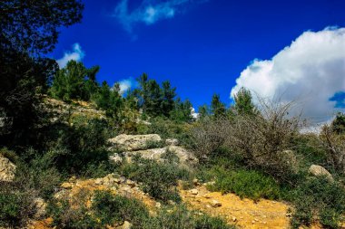 Panorama ve Kudüs tepeleri ve Beyaz Vadi 'nin manzarası vadiye bakan beyaz dağ sırtı batıdaki kentsel gelişmeden kurtarıldı.