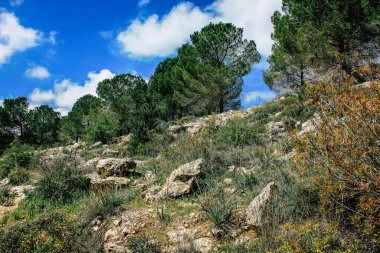 Panorama ve Kudüs tepeleri ve Beyaz Vadi 'nin manzarası vadiye bakan beyaz dağ sırtı batıdaki kentsel gelişmeden kurtarıldı.