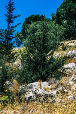Panorama ve Kudüs tepeleri ve Beyaz Vadi 'nin manzarası vadiye bakan beyaz dağ sırtı batıdaki kentsel gelişmeden kurtarıldı.