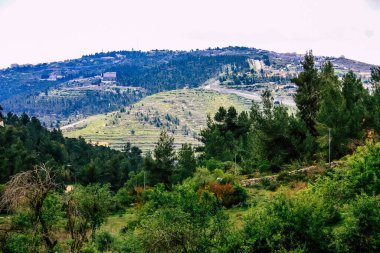 Panorama ve Kudüs tepeleri ve Beyaz Vadi 'nin manzarası vadiye bakan beyaz dağ sırtı batıdaki kentsel gelişmeden kurtarıldı.