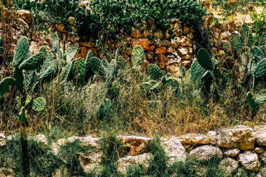 Panorama ve Kudüs tepeleri ve Beyaz Vadi 'nin manzarası vadiye bakan beyaz dağ sırtı batıdaki kentsel gelişmeden kurtarıldı.