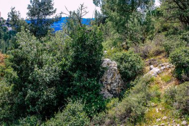 Panorama ve Kudüs tepeleri ve Beyaz Vadi 'nin manzarası vadiye bakan beyaz dağ sırtı batıdaki kentsel gelişmeden kurtarıldı.