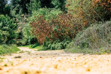 Panorama ve Kudüs tepeleri ve Beyaz Vadi 'nin manzarası vadiye bakan beyaz dağ sırtı batıdaki kentsel gelişmeden kurtarıldı.