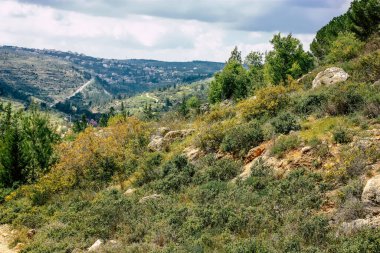 Panorama ve Kudüs tepeleri ve Beyaz Vadi 'nin manzarası vadiye bakan beyaz dağ sırtı batıdaki kentsel gelişmeden kurtarıldı.