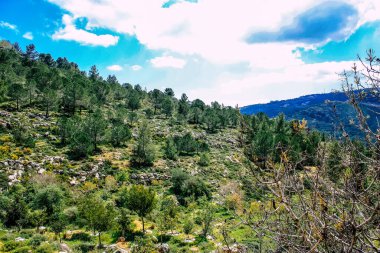 Panorama ve Kudüs tepeleri ve Beyaz Vadi 'nin manzarası vadiye bakan beyaz dağ sırtı batıdaki kentsel gelişmeden kurtarıldı.