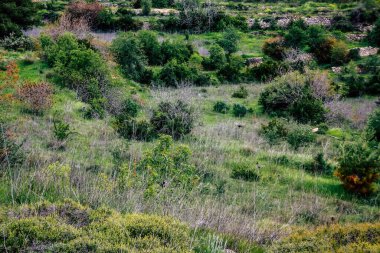 Panorama ve Kudüs tepeleri ve Beyaz Vadi 'nin manzarası vadiye bakan beyaz dağ sırtı batıdaki kentsel gelişmeden kurtarıldı.