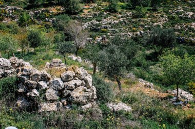 Panorama ve Kudüs tepeleri ve Beyaz Vadi 'nin manzarası vadiye bakan beyaz dağ sırtı batıdaki kentsel gelişmeden kurtarıldı.