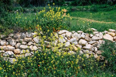 Panorama ve Kudüs tepeleri ve Beyaz Vadi 'nin manzarası vadiye bakan beyaz dağ sırtı batıdaki kentsel gelişmeden kurtarıldı.