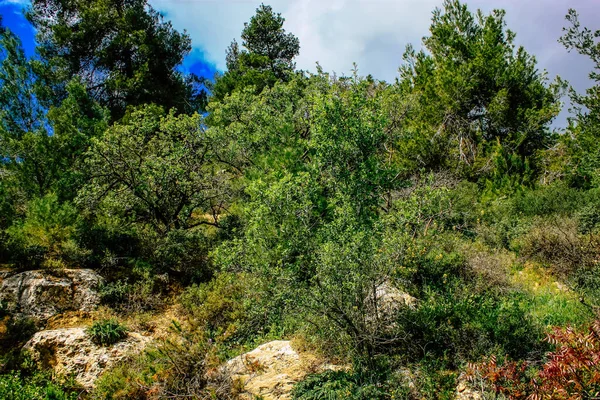 Panorama Vista Das Colinas Jerusalém Vale Branco Cume Montanha Branca — Fotografia de Stock