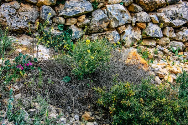 Панорама Вигляд Пагорбів Єрусалима Білої Долини Білий Гірський Кряж Височить — стокове фото