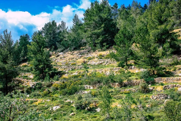 Panorama Vista Das Colinas Jerusalém Vale Branco Cume Montanha Branca — Fotografia de Stock