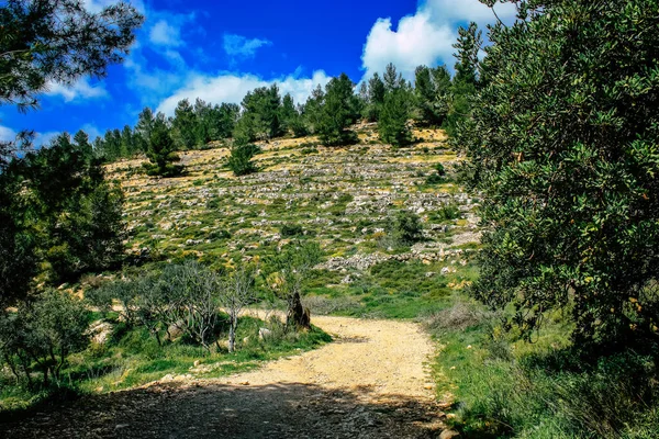 Panorama Widok Wzgórza Jerozolimy Białą Dolinę Biały Grzbiet Górski Który — Zdjęcie stockowe