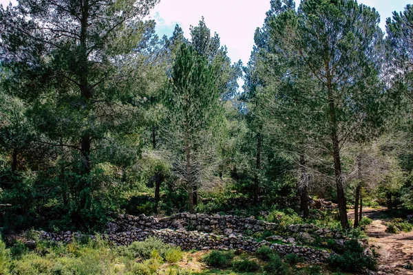 Panorama Pohled Jeruzalémské Kopce Bílé Údolí Bílý Hřeben Hory Který — Stock fotografie