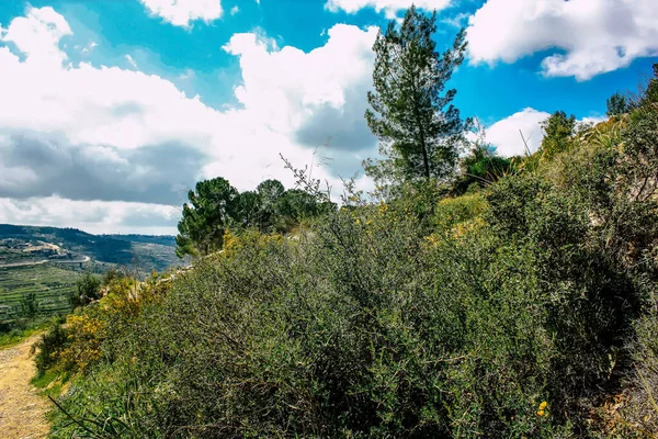 Panorama Pohled Jeruzalémské Kopce Bílé Údolí Bílý Hřeben Hory Který — Stock fotografie